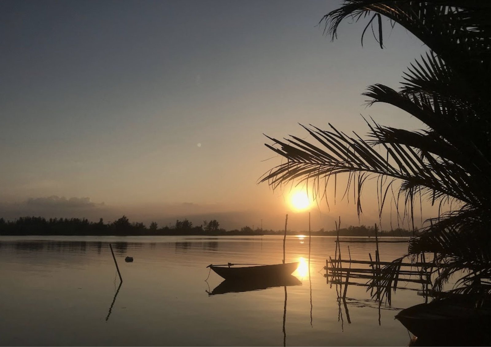 Virtual Kayaking to Cocopal Forest Momo Travel