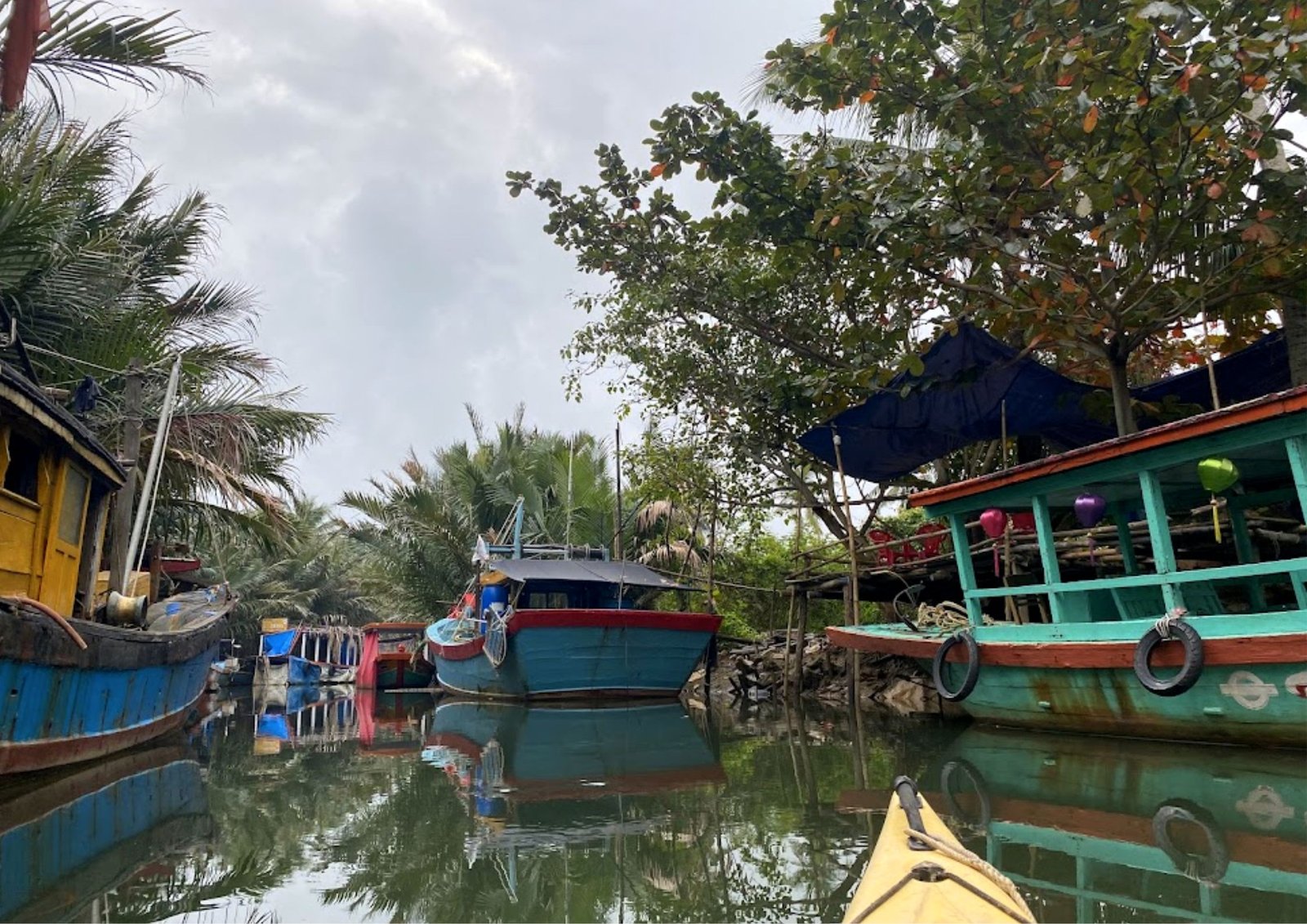 Virtual Kayaking to Cocopal Forest Momo Travel