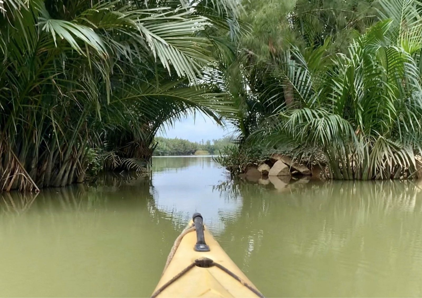 Virtual Kayaking to Cocopal Forest