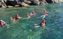 Cham Island Snorkeling by Speedboat - Free pick up from Hoi An or Da Nang