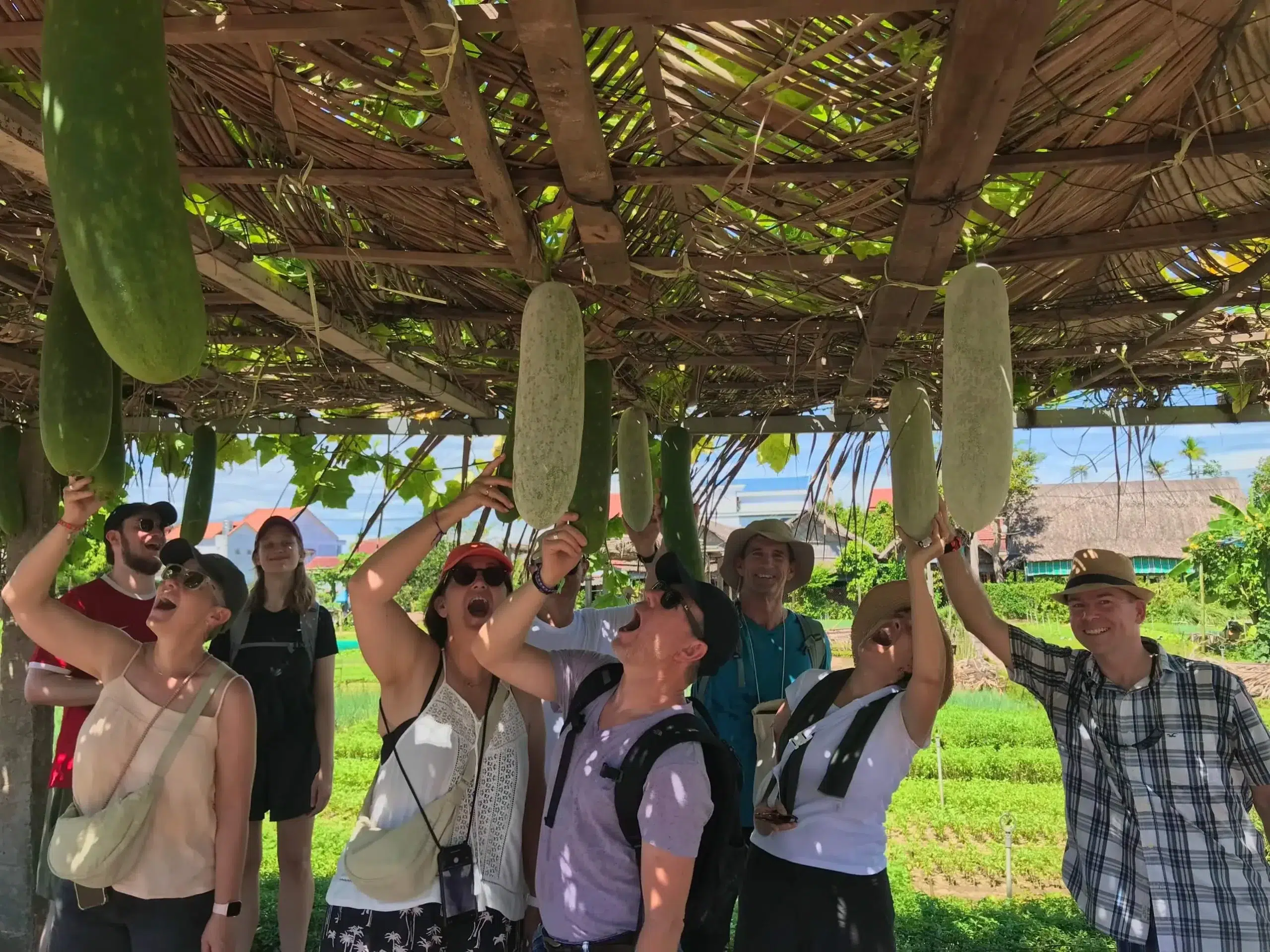 z5528043308727_30fb8a67c7f0729f3a8d305cd25e8b55