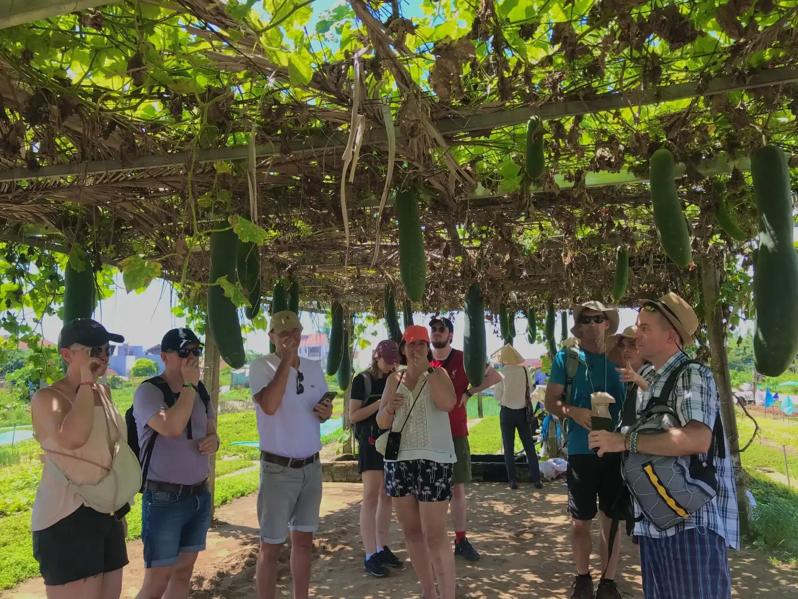 z5528113594199_42f39afff335c0a1ffac19acc7e55457