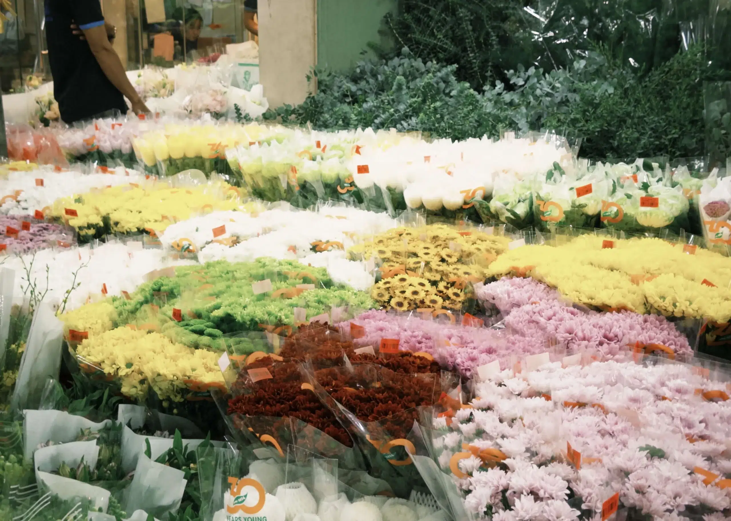 fxn 2024-07-16 184802.243