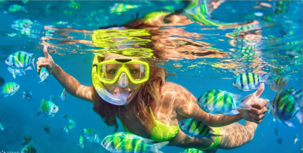 Snorkerling at cham island - momo travel asia