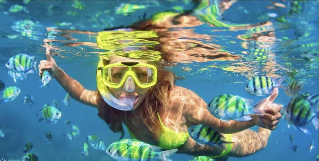 Snorkerling at cham island - momo travel asia