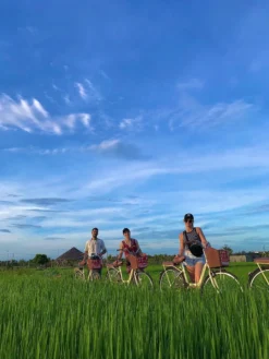 Hoi An: Rural Cycling Tour to Villages with Basket Boat Ride