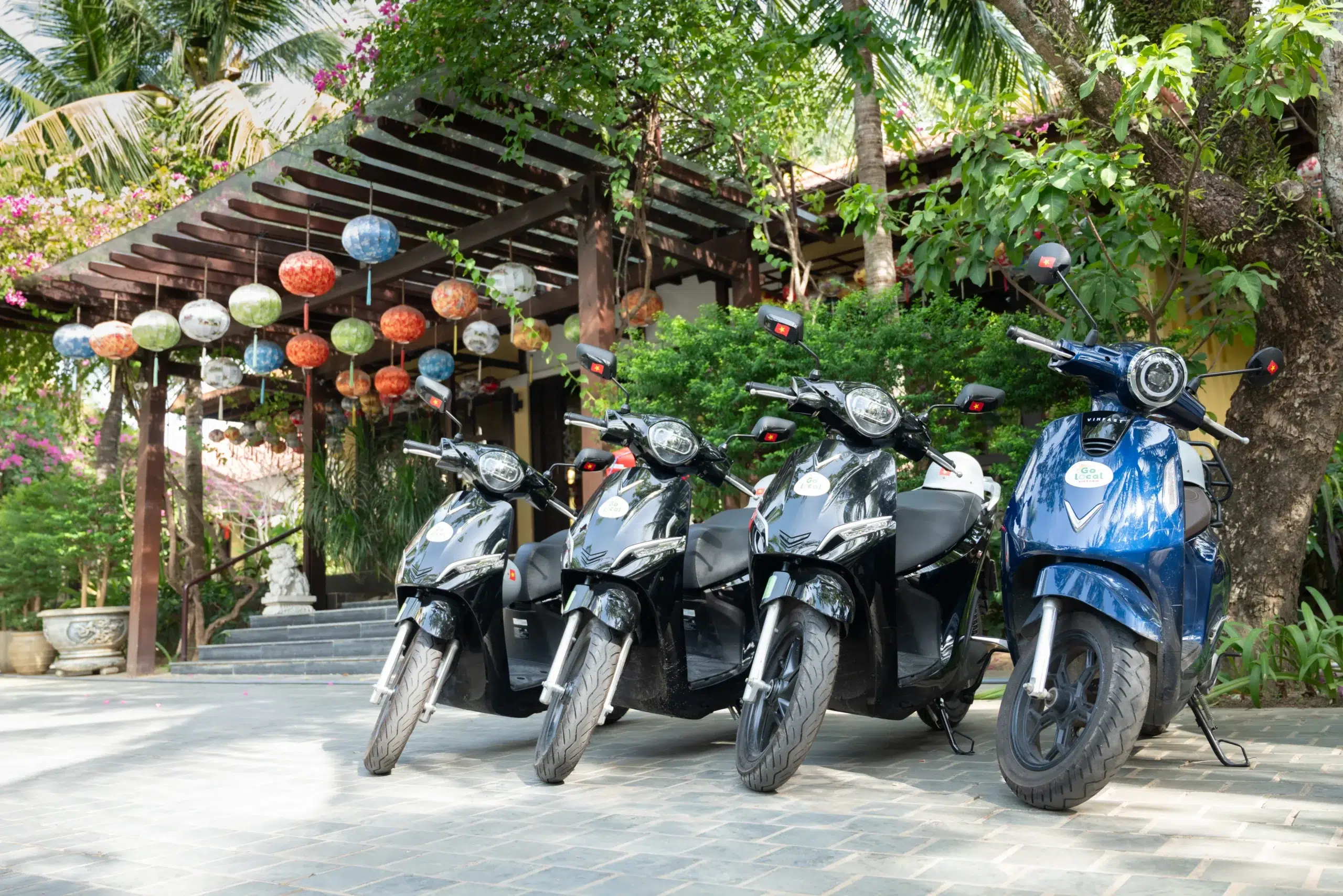 Scooter_DSC2997 (1)