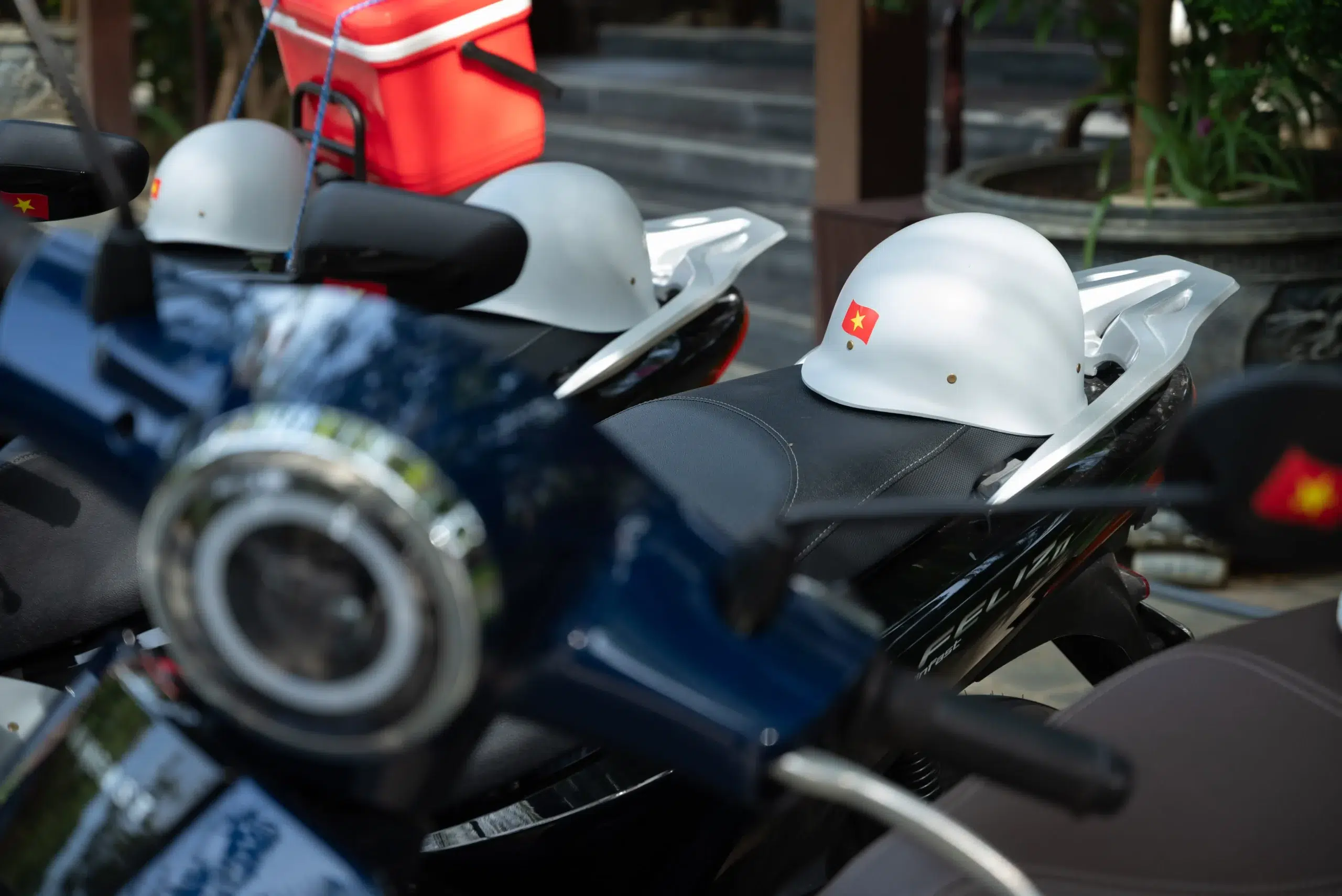 Scooter_DSC3001 (1)