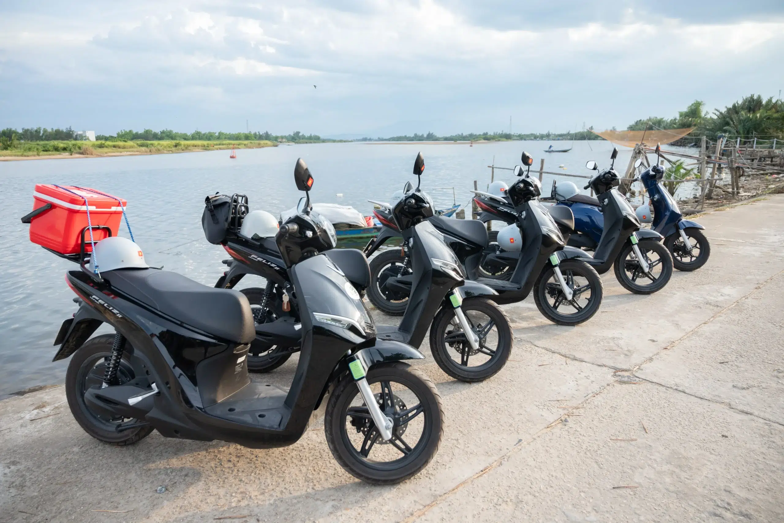 Scooter_DSC3509 (1)